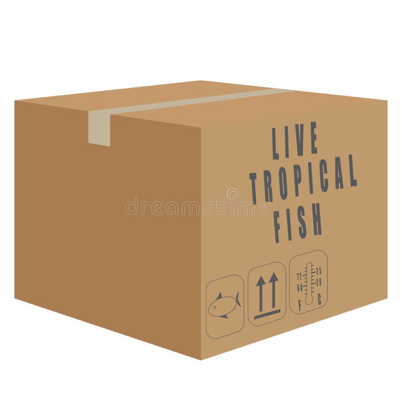 Vector of Box of Live Tropical Fish Stock Vector Illustration of mail