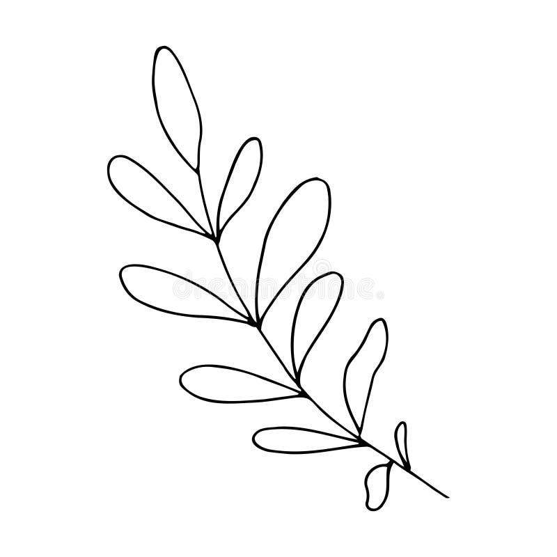 Simple set 3 hand draw sketch flower and leaf Vector Image