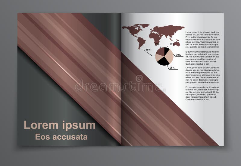 Vector Brochure Layout Design Template vector illustration