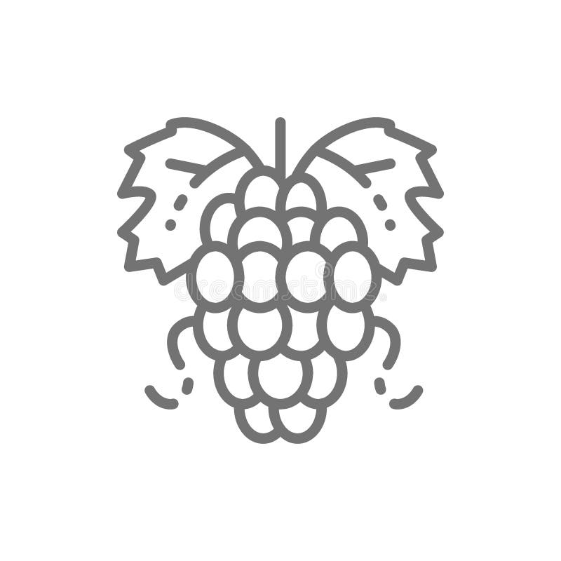 Bunch of grapes line icon. stock illustration Bunch of grapes line icon. stock illustration
