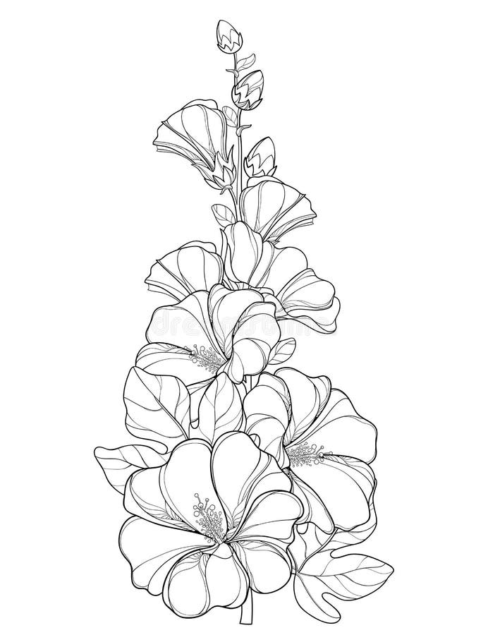 42 Hollyhock flower tattoos design ideas | 刺青, 美丽的纹身, 紋身