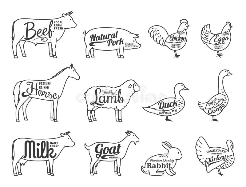 Vector Butchery Logo. Farm Animals Thin Line Icons Collection Is. Set of butchery logo. Farm animals with sample text. Farm animals thin line icons collection royalty free illustration Vector Butchery Logo. Farm Animals Thin Line Icons Collection Is. Set of butchery logo. Farm animals with sample text. Farm animals thin line icons collection royalty free illustration