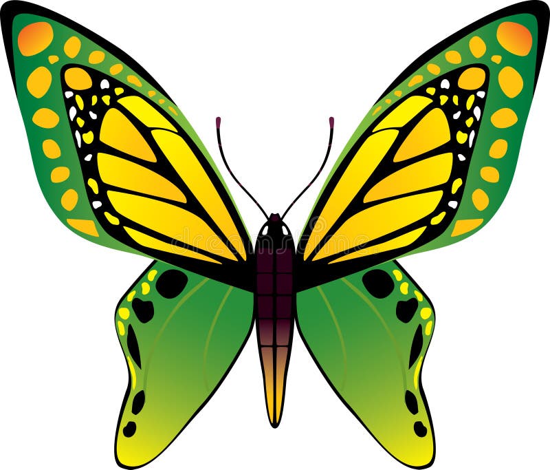 Vector butterfly