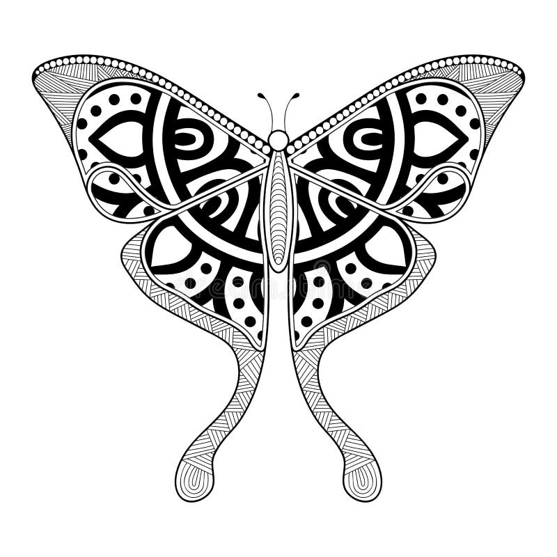 Vector Butterfly Black and White Element Line Art Print Design Stock