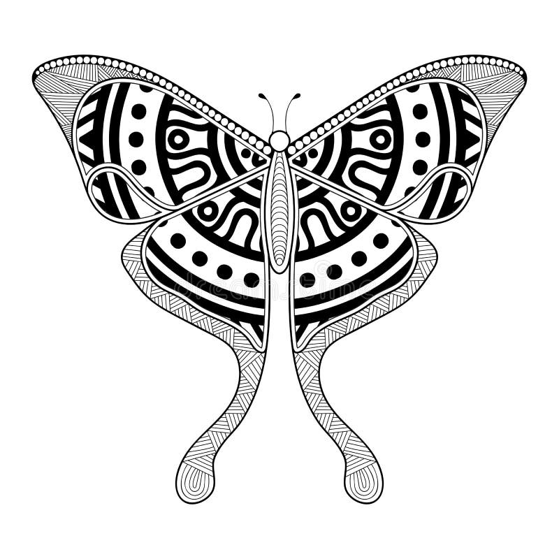 Vector Butterfly Black and White Element Line Art Print Design Stock Vector Illustration of