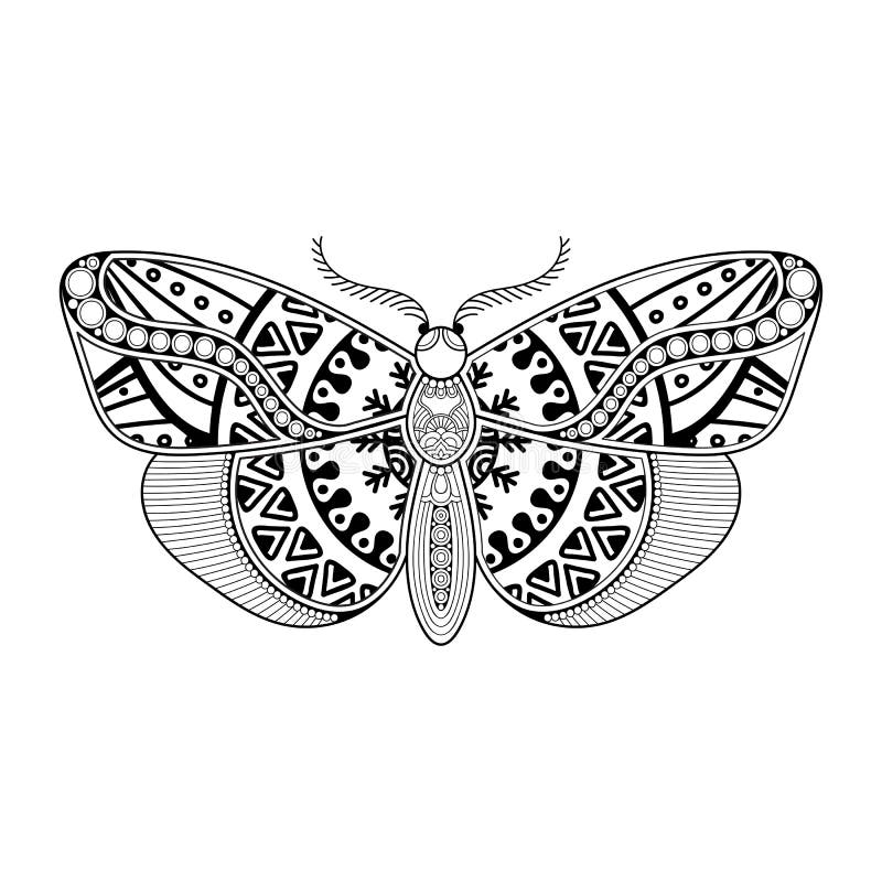 Vector Butterfly Black and White Element Line Art Print Design Stock Vector Illustration of