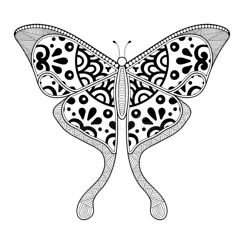 Vector Butterfly Black and White Element Line Art Print Design Stock Vector Illustration of