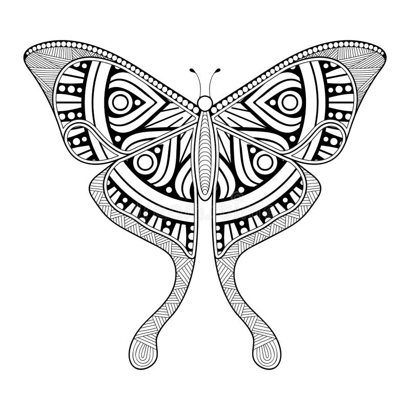 Vector Butterfly Black and White Element Line Art Print Design Stock Vector Illustration of