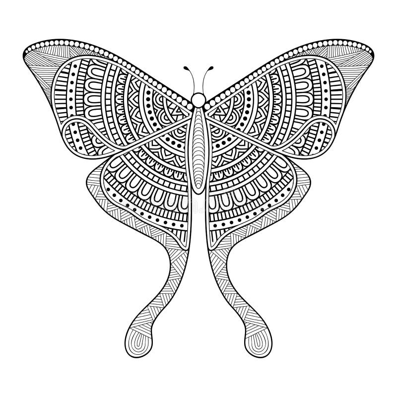 Vector Butterfly Black and White Element Line Art Print Design Stock Vector Illustration of