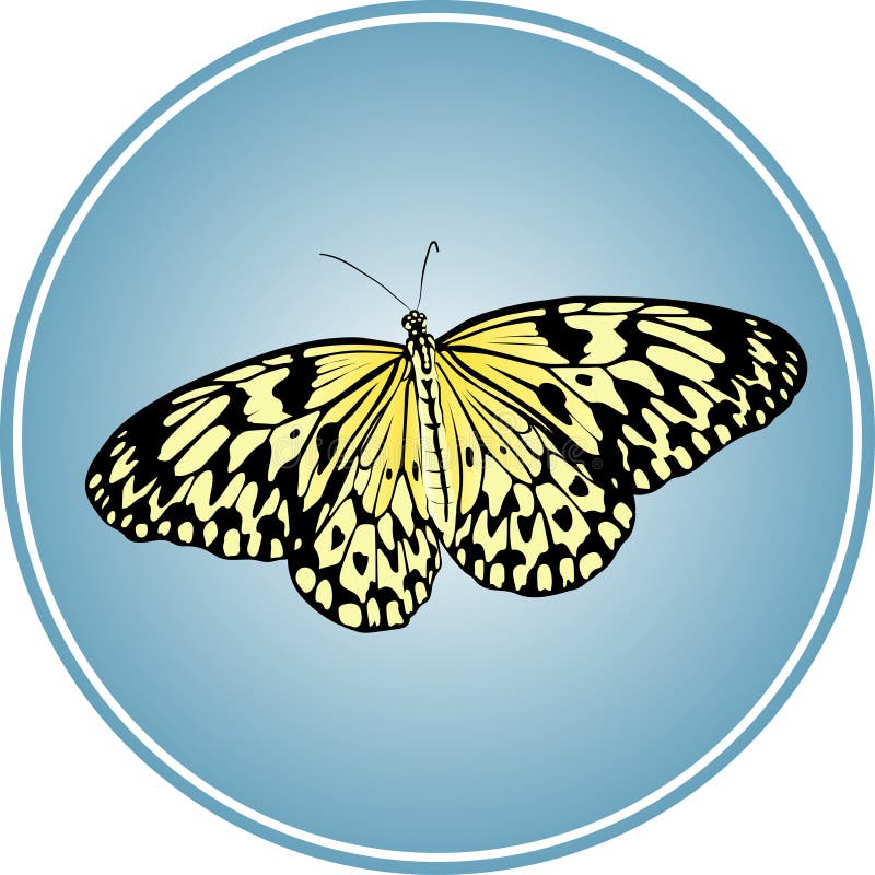 Download Aurora Wing Icons Set 9 Vector Stock Vector - Illustration ...