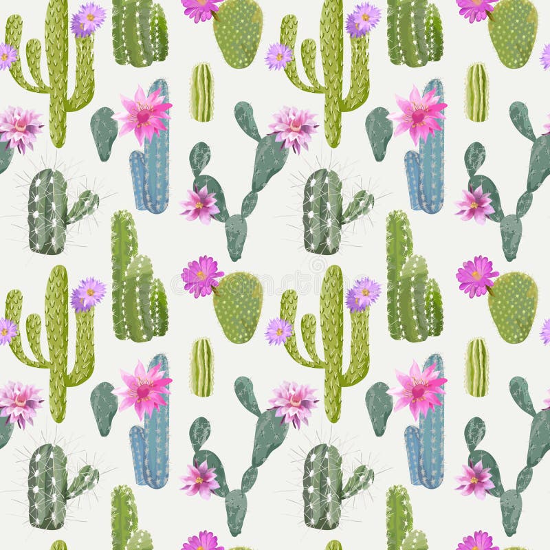 Vector Cactus Background. Seamless Pattern. Exotic Plant vector illustration