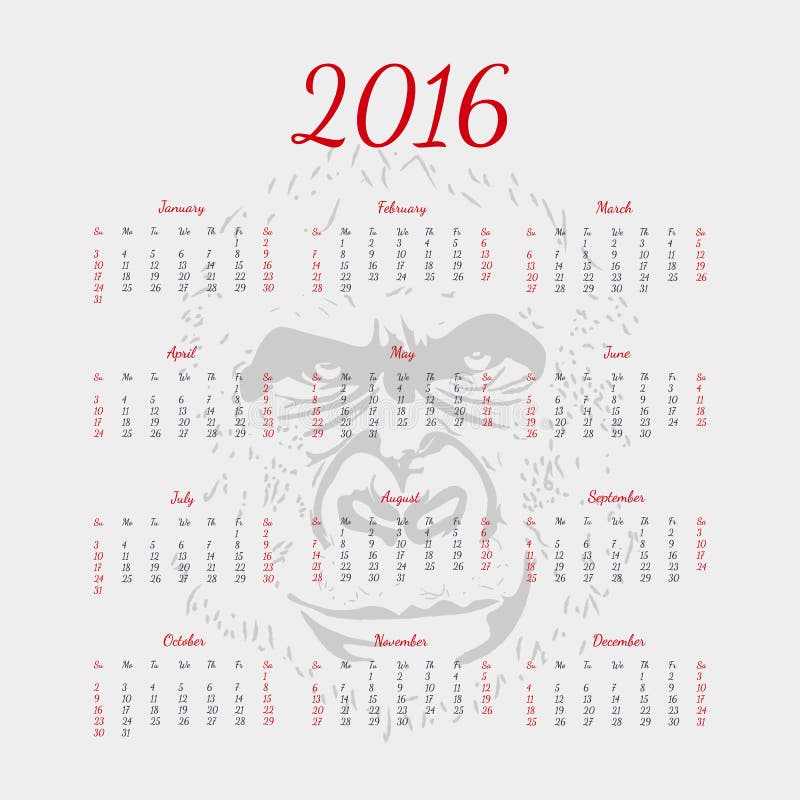 Vector Calendar 2016. the Year of Monkey. Silhouette. Stock Vector ...