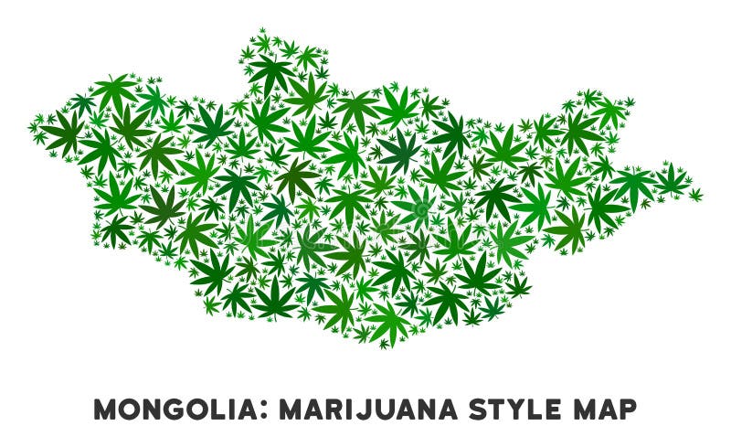 марихуана в монголии