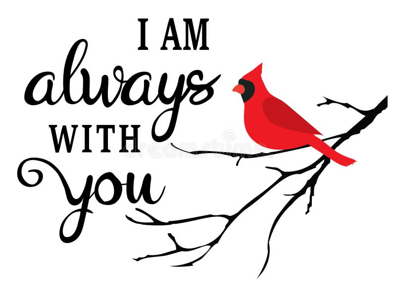 Vector Cardinal Bird Stock Illustrations 2 851 Vector Cardinal Bird Stock Illustrations Vectors Clipart Dreamstime Vector Cardinal Bird Stock Illustrations 2 851 Vector Cardinal Bird Stock Illustrations Vectors Clipart Dreamstime