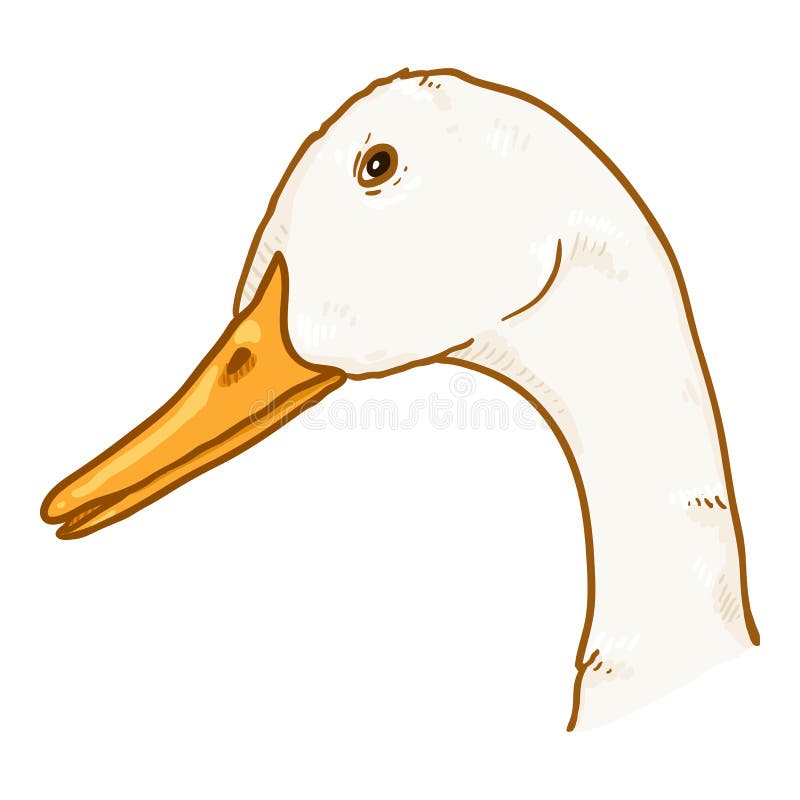 Vector Cartoon Duck Head stock vector. Illustration of agriculture -  182912403