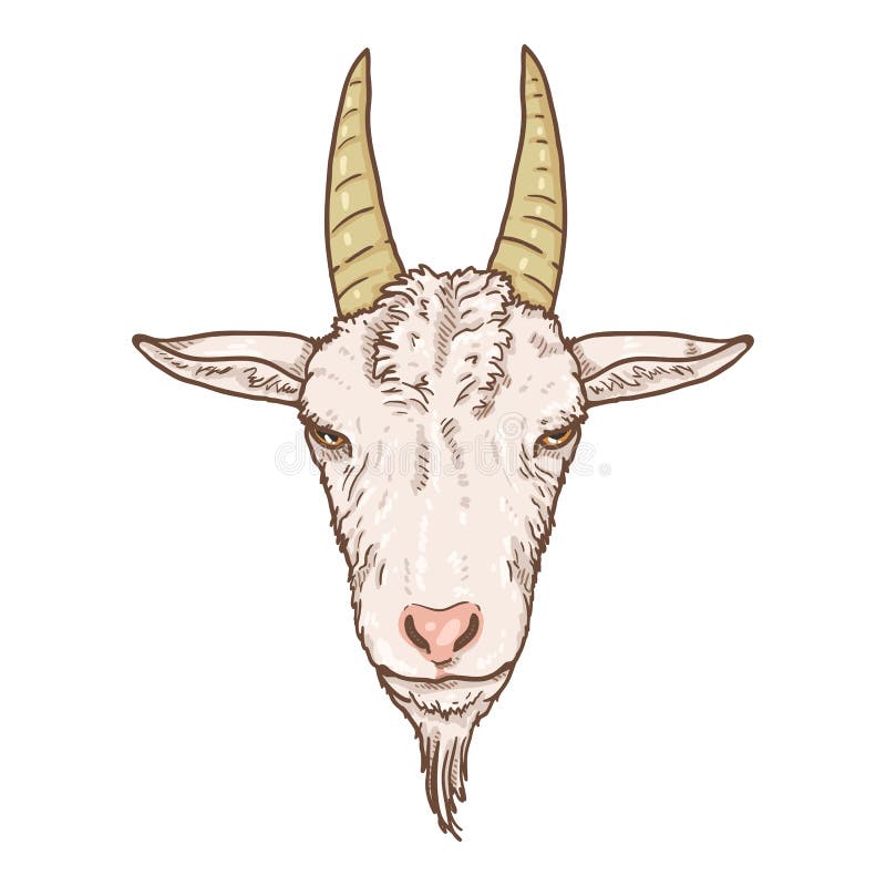 billy goat head cartoon