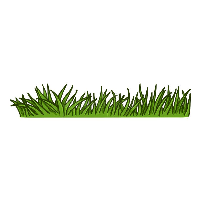 Vector Cartoon Green Grass stock vector. Illustration of agriculture -  170304391
