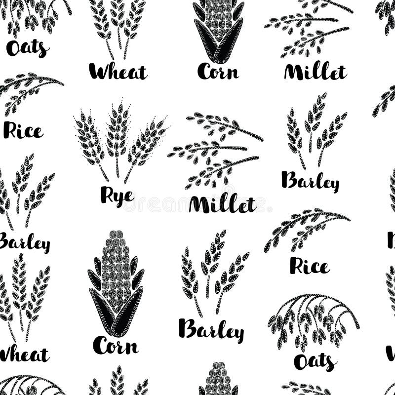 Black and white seamless pattern with hand drawn outline cereals, grains.