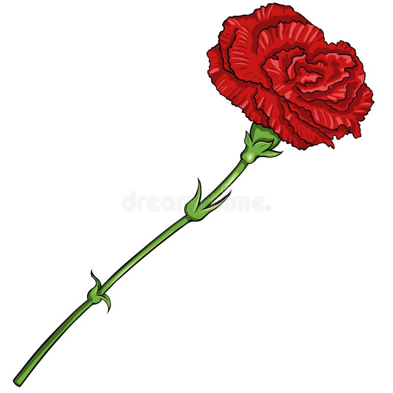 Vector Cartoon Illustration Red Carnation Stock Illustration