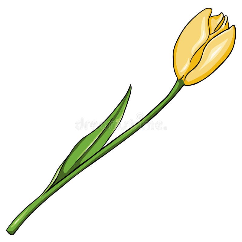 Vector Cartoon Illustration Yellow Tulip Stock Illustration