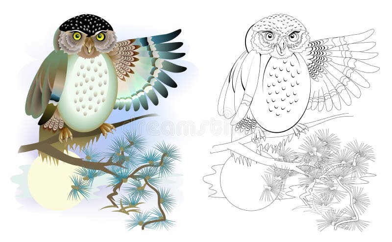 Colorful and black and white pattern for coloring. Drawing of cute owl. Worksheet for children and adults. royalty free illustration Colorful and black and white pattern for coloring. Drawing of cute owl. Worksheet for children and adults. royalty free illustration