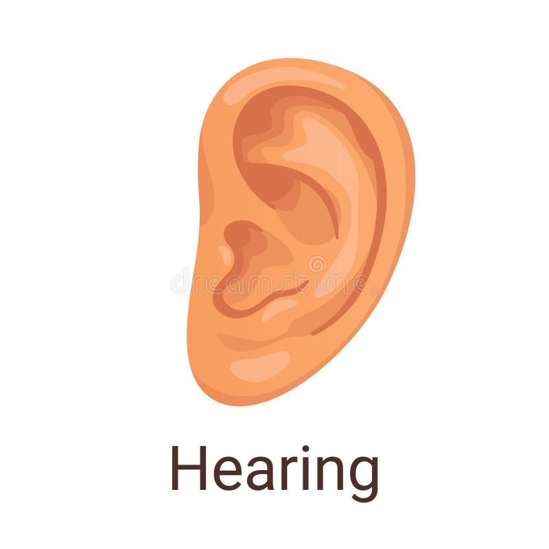 Слух 6 букв. The sense of hearing. Слух 6,0-6,0. Слух на прозрачном фоне. Здоровье слух иллюстрация.