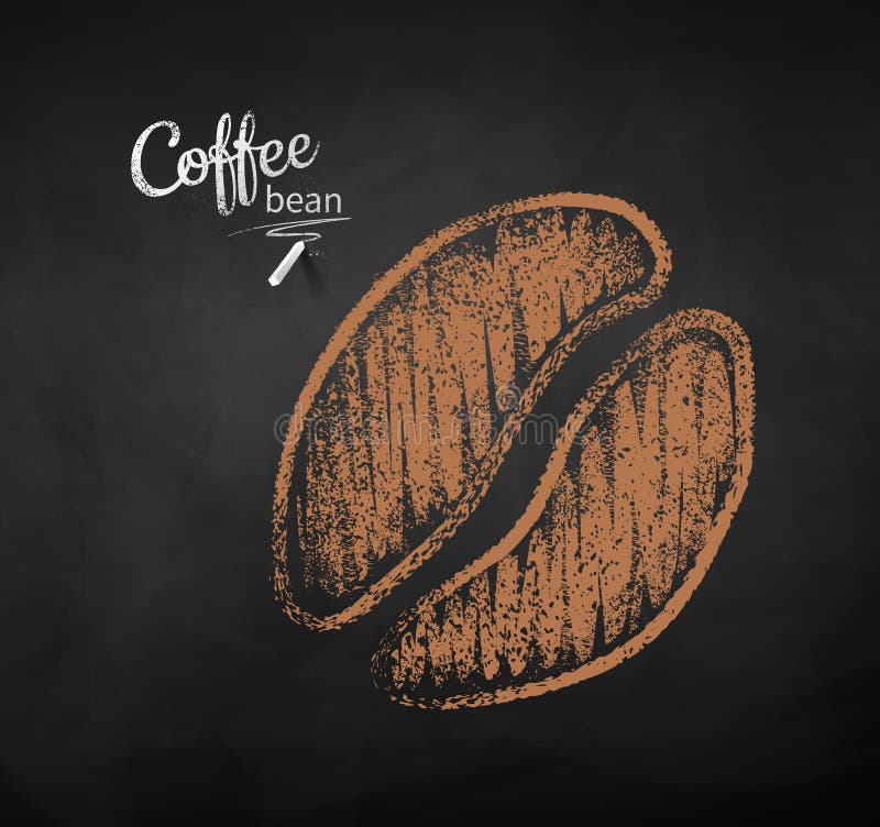 Vector Chalk Drawn Sketch of One Coffee Bean Stock Vector