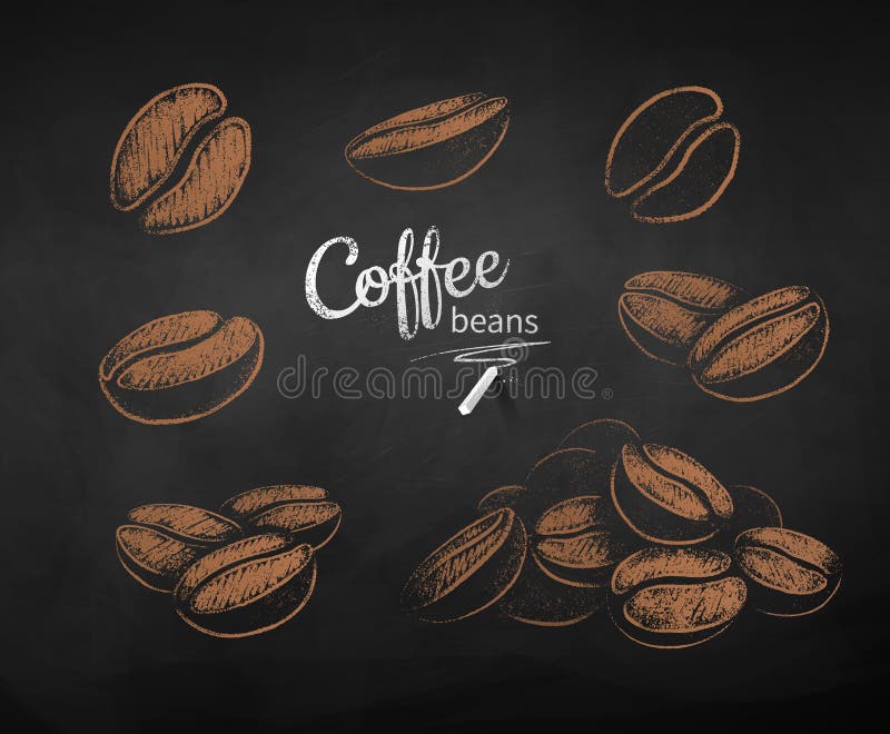 Vector Chalk Drawn Sketches Set of Coffee Beans Stock Vector