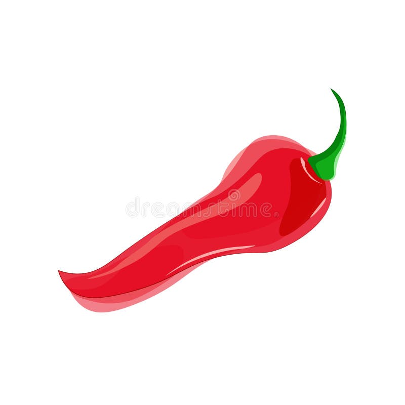 Vector Chili Illustration Isolated in Cartoon Style. Spanish Name Stock Vector Illustration of