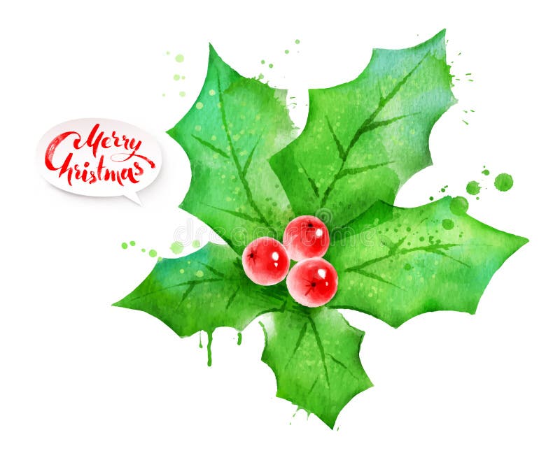 Christmas sprig of mistletoe. Stock Vector by ©Ann_art 55075065