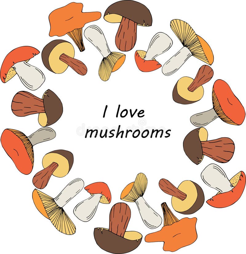 Hand drawn mushrooms in circle form with place for text in center illustration. Hand drawn mushrooms in circle form with place for text in center illustration