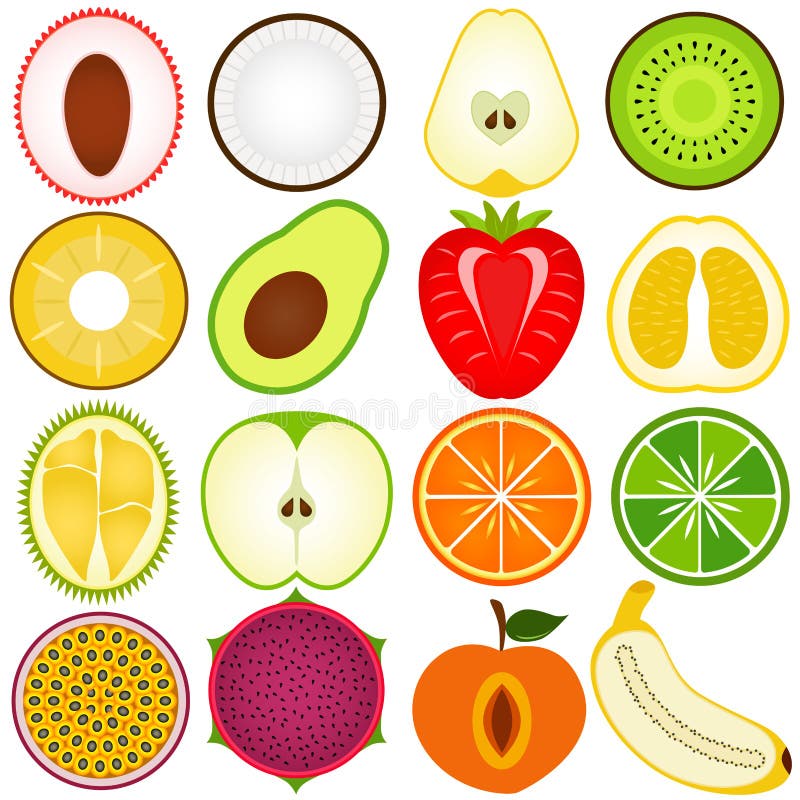 A vector collection of Fresh fruit cut in half