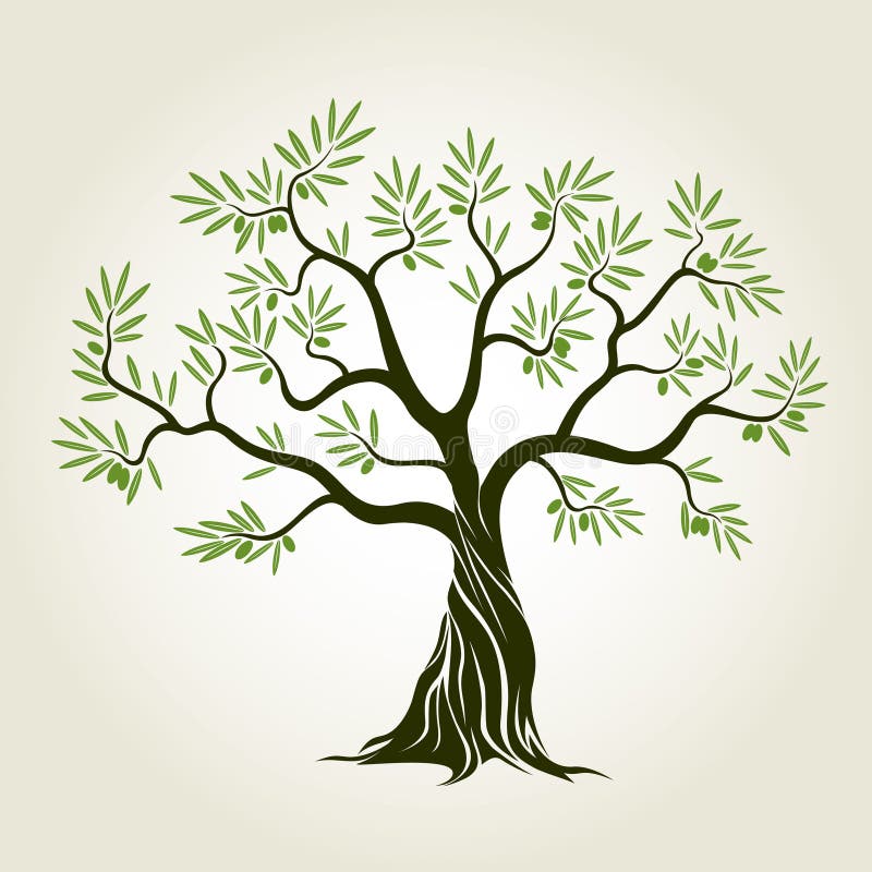 Vector Color Olive Tree with green leafs. stock illustration Vector Color Olive Tree with green leafs. stock illustration