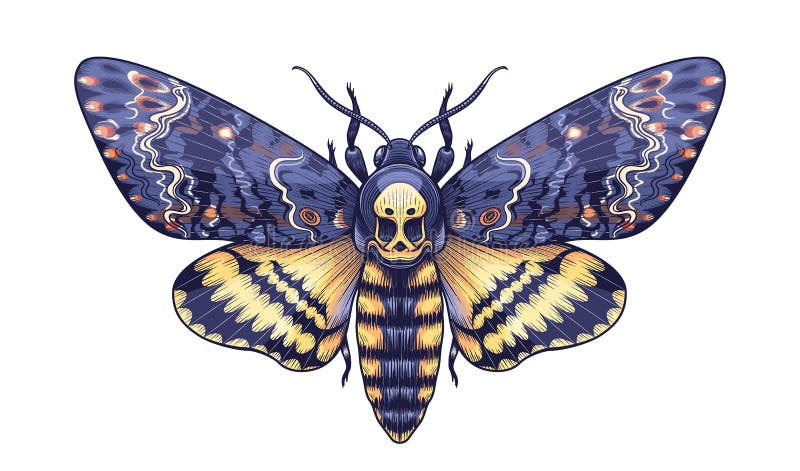 Death Moth Tattoo Stock Illustrations – 228 Death Moth Tattoo Stock Illustrations, Vectors & Clipart - Dreamstime Death Moth Tattoo Stock Illustrations – 228 Death Moth Tattoo Stock Illustrations, Vectors & Clipart - Dreamstime