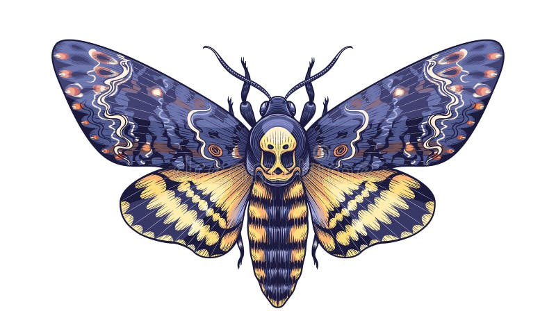 Death Moth Tattoo Stock Illustrations - 210 Death Moth Tattoo Stock Illustr...