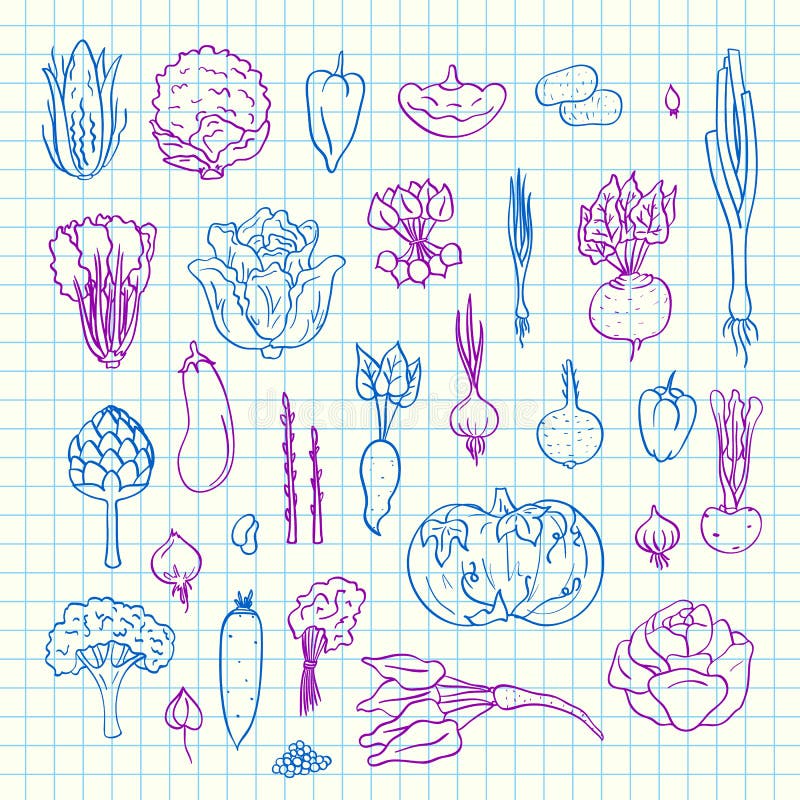 Vector colored hand drawn doodle vegetables icons set on blue cell sheet illustration. greenery elements on vector illustration Vector colored hand drawn doodle vegetables icons set on blue cell sheet illustration. greenery elements on vector illustration