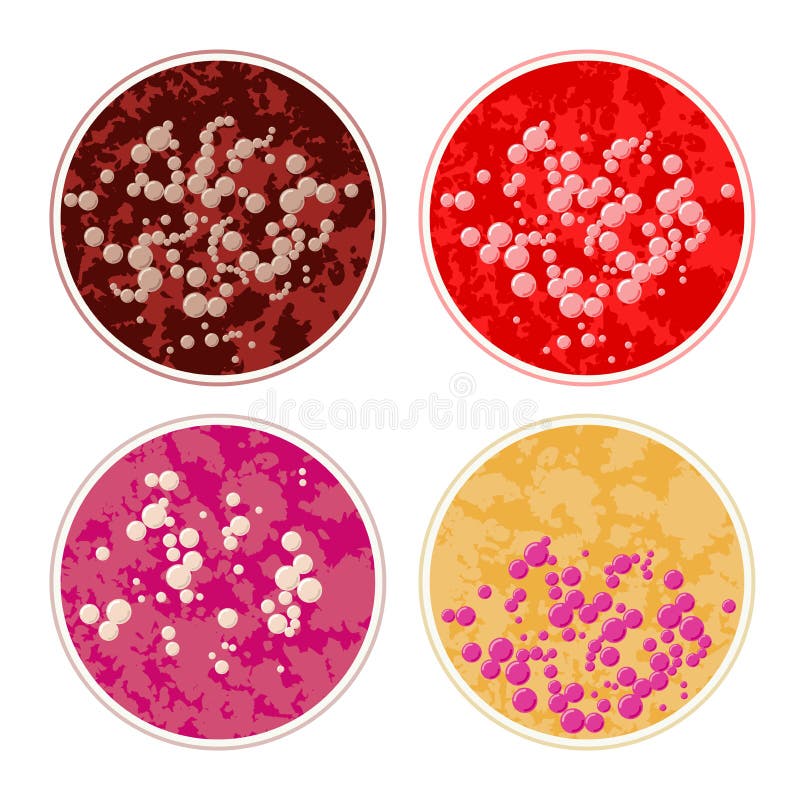 Petri Dishes Stock Illustrations 236 Petri Dishes Stock Illustrations