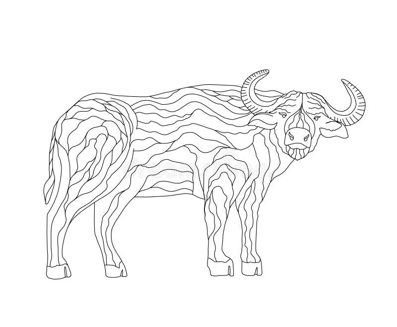 Vector Coloring Book for Children and Adults with a Buffalo. Big Animal  with Horns Stock Illustration - Illustration of japan, book: 181762513