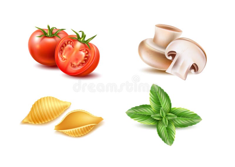 Vector conchiglie pasta tomato basil mushroom set