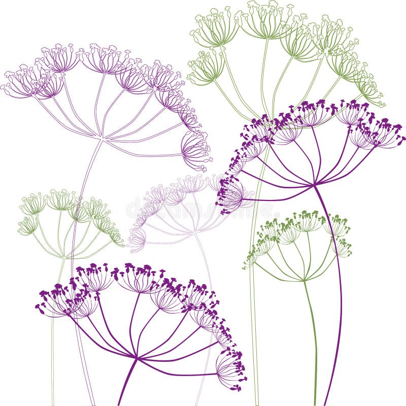 Vector Contour Drawing of Silhouettes Decorative Umbrella Flowers Stock