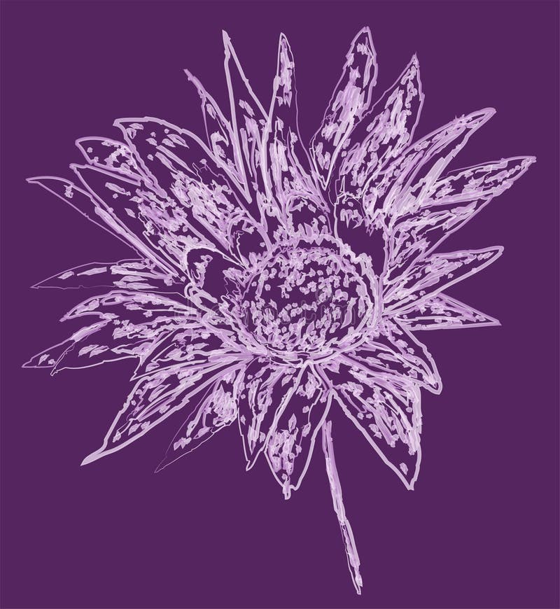 Vector Contour Watercolor Brush Drawing of Abstract Decorative Flower