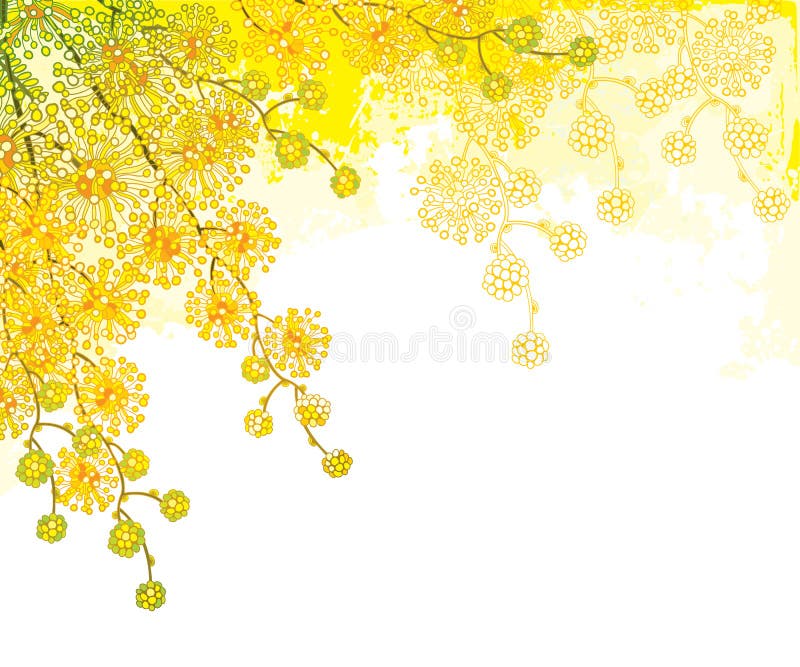 Vector corner bouquet with ornate outline Mimosa or Acacia dealbata or silver wattle flower on the pastel yellow background.