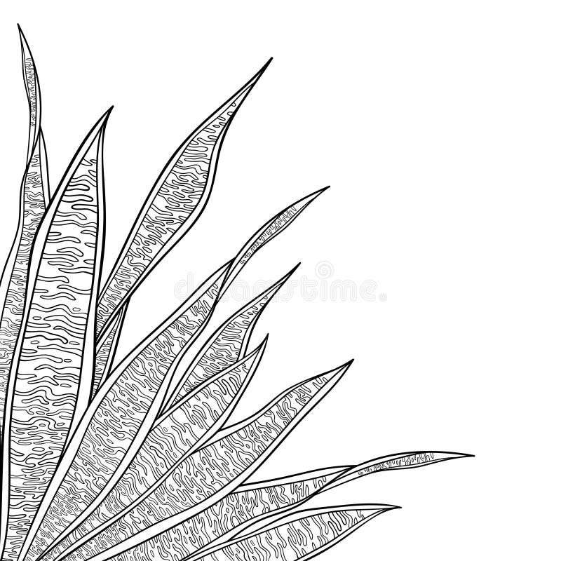 Easy snake plant drawing # Snake plant pencil sketch #pencil sketch plant  with planter - YouTube
