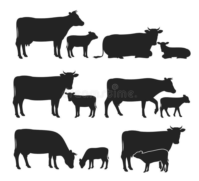 Vector cow and calf silhouettes collection