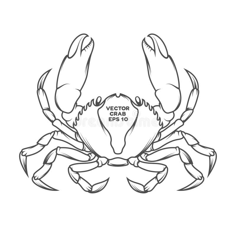 Vector crab illustration royalty free illustration