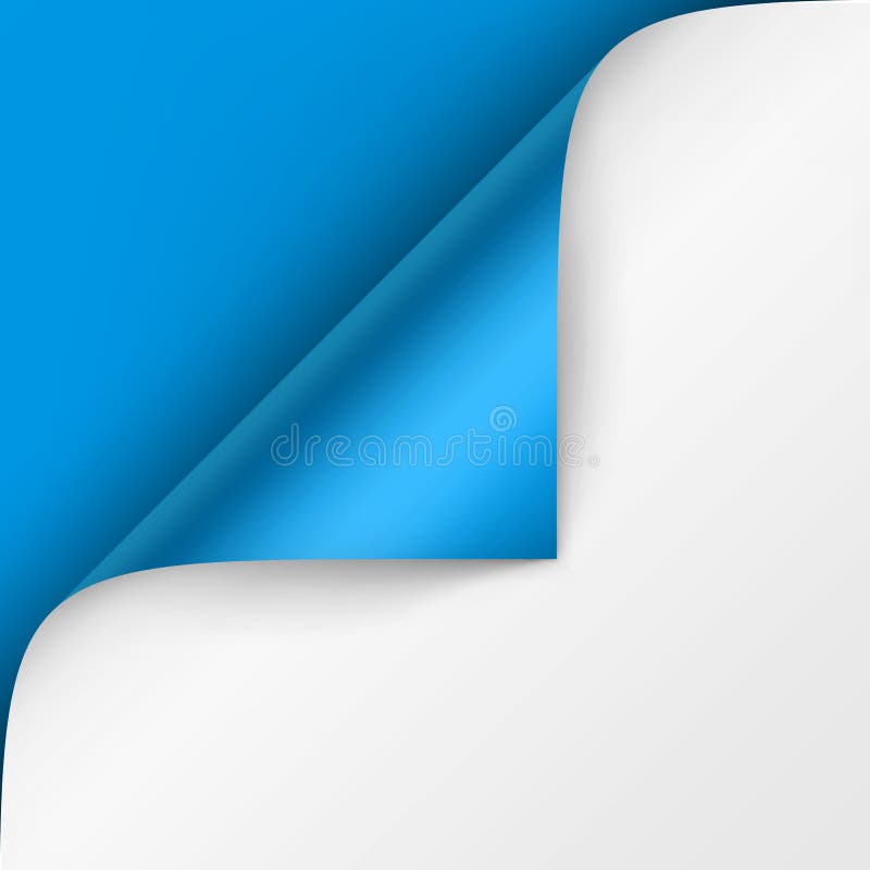 Vector Curled Corner Of White Paper With Shadow Mock Up Close Up
