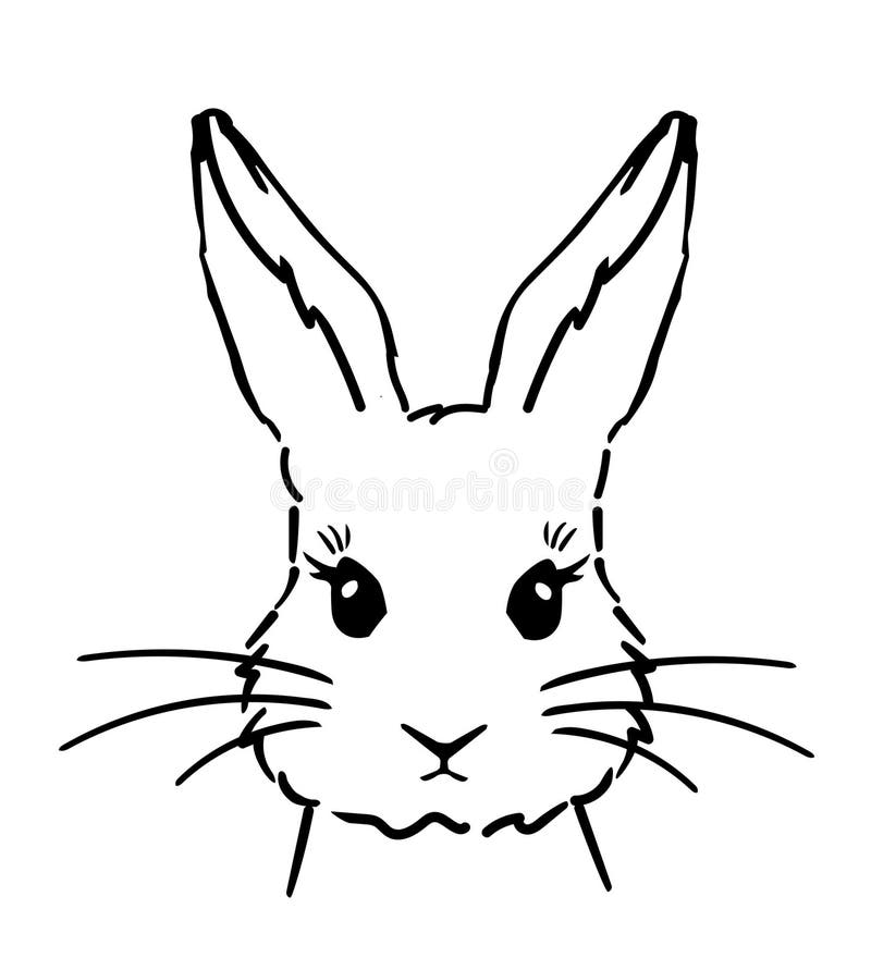 Vector Cute Bunny royalty free illustration