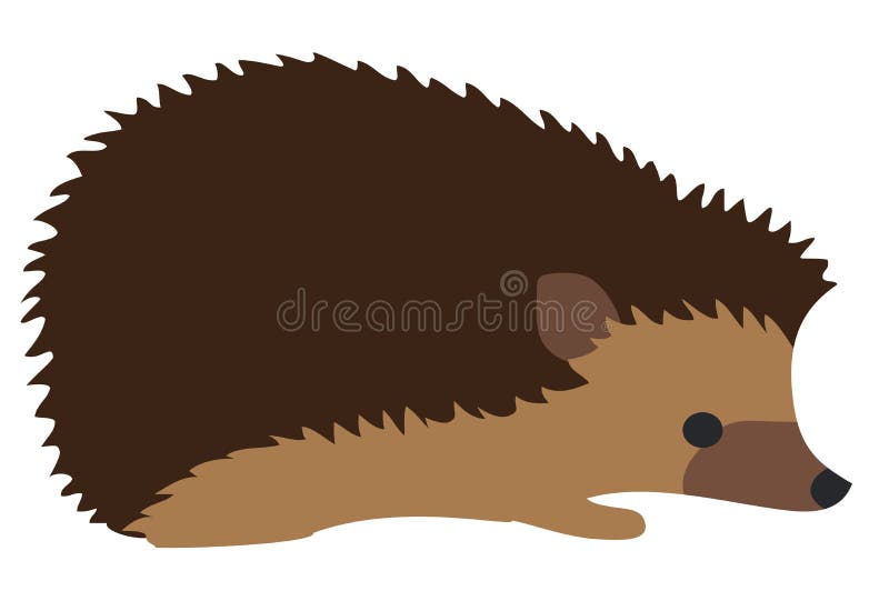 Vector Cute Hedgehog Isolated On White Background vector illustration