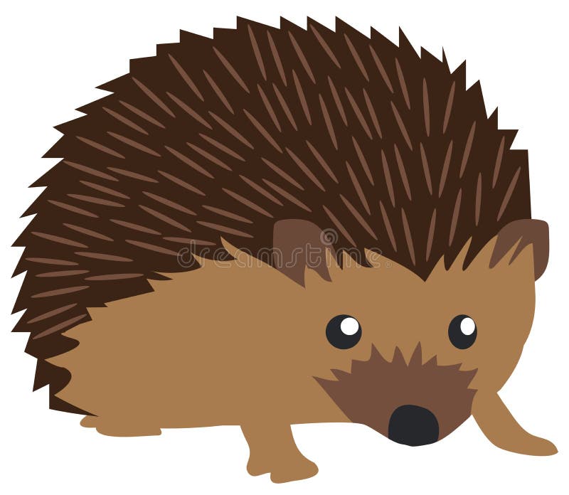 Vector Cute Hedgehog Isolated on White Background vector illustration