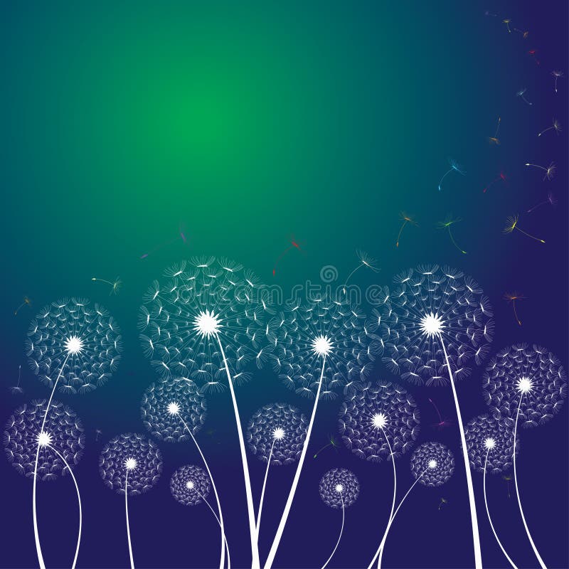 The vector dandelion on a wind loses the integrity vector illustration